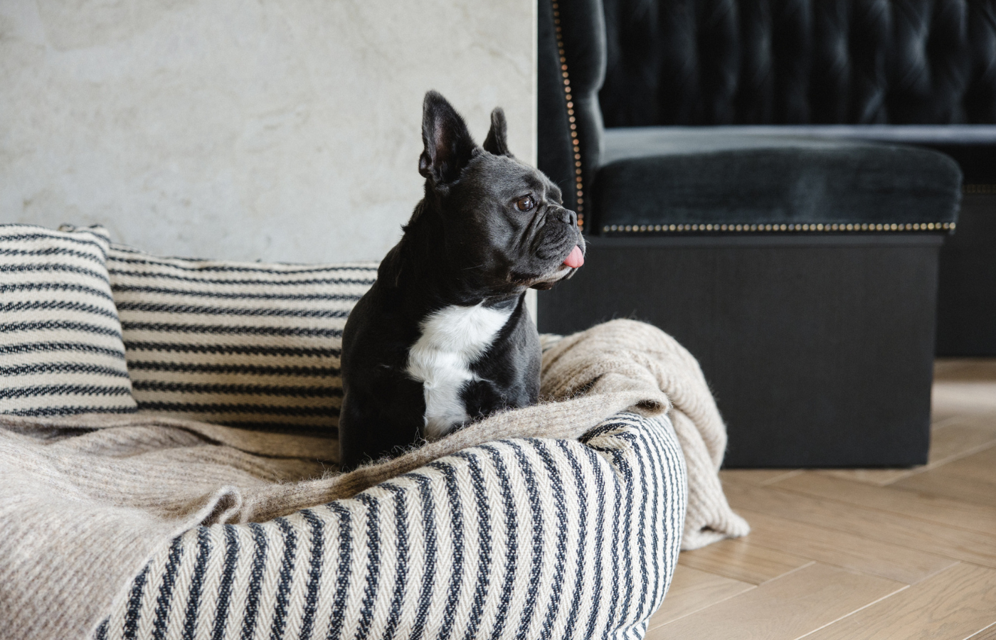 - block module image