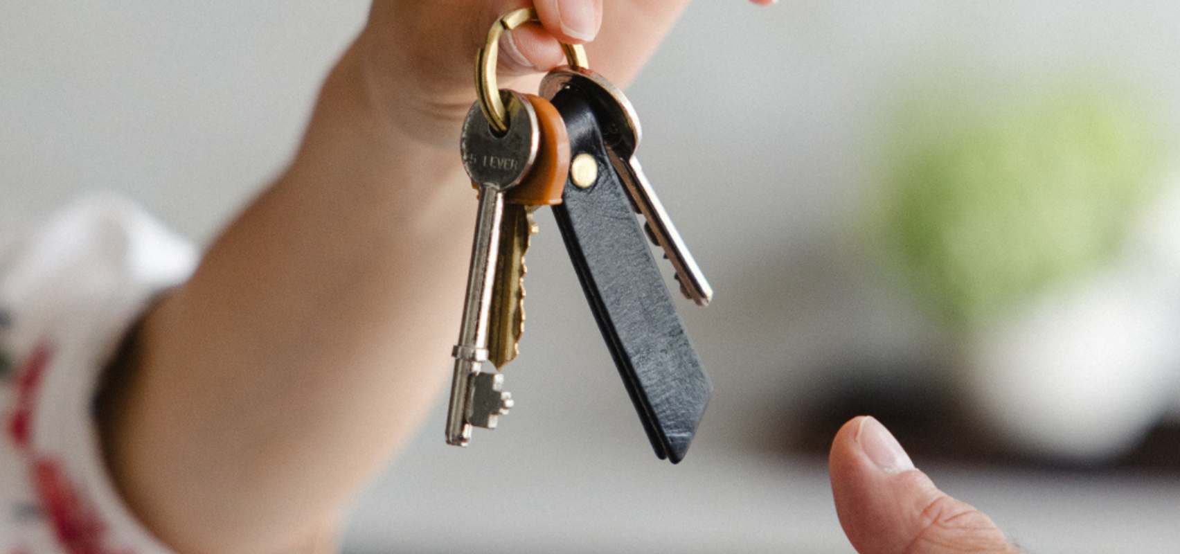 Embassy Lettings - David Astburys